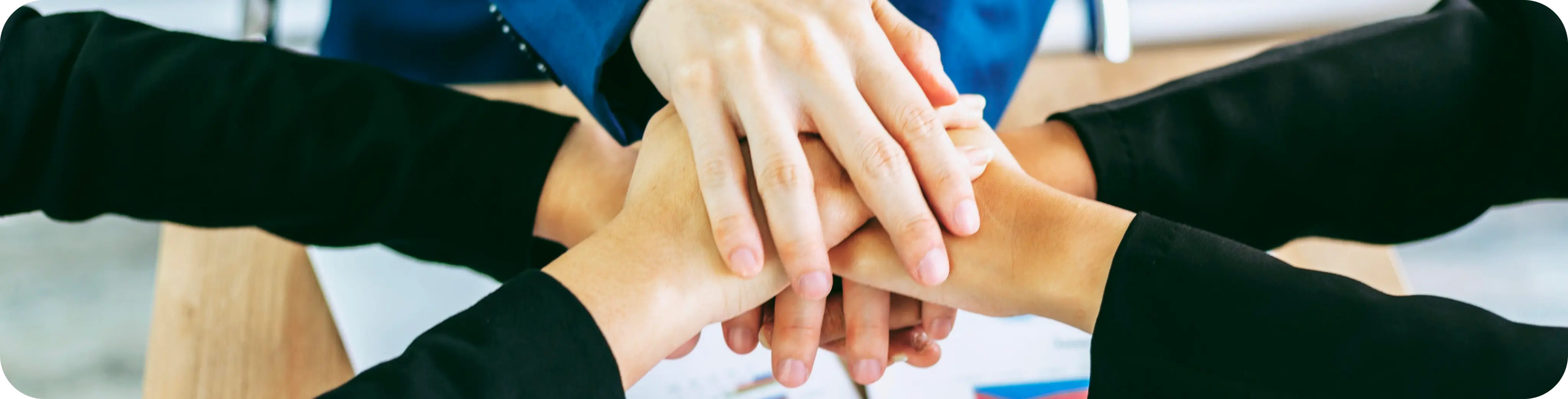 Establecimiento de Normas